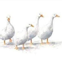 Load image into Gallery viewer, Country watercolour linen, white ducks, linen cushion cover, Australian designed and made
