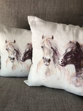 Load image into Gallery viewer, Brumbies Cushion Cover