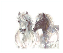 Load image into Gallery viewer, Brumbies Cushion Cover