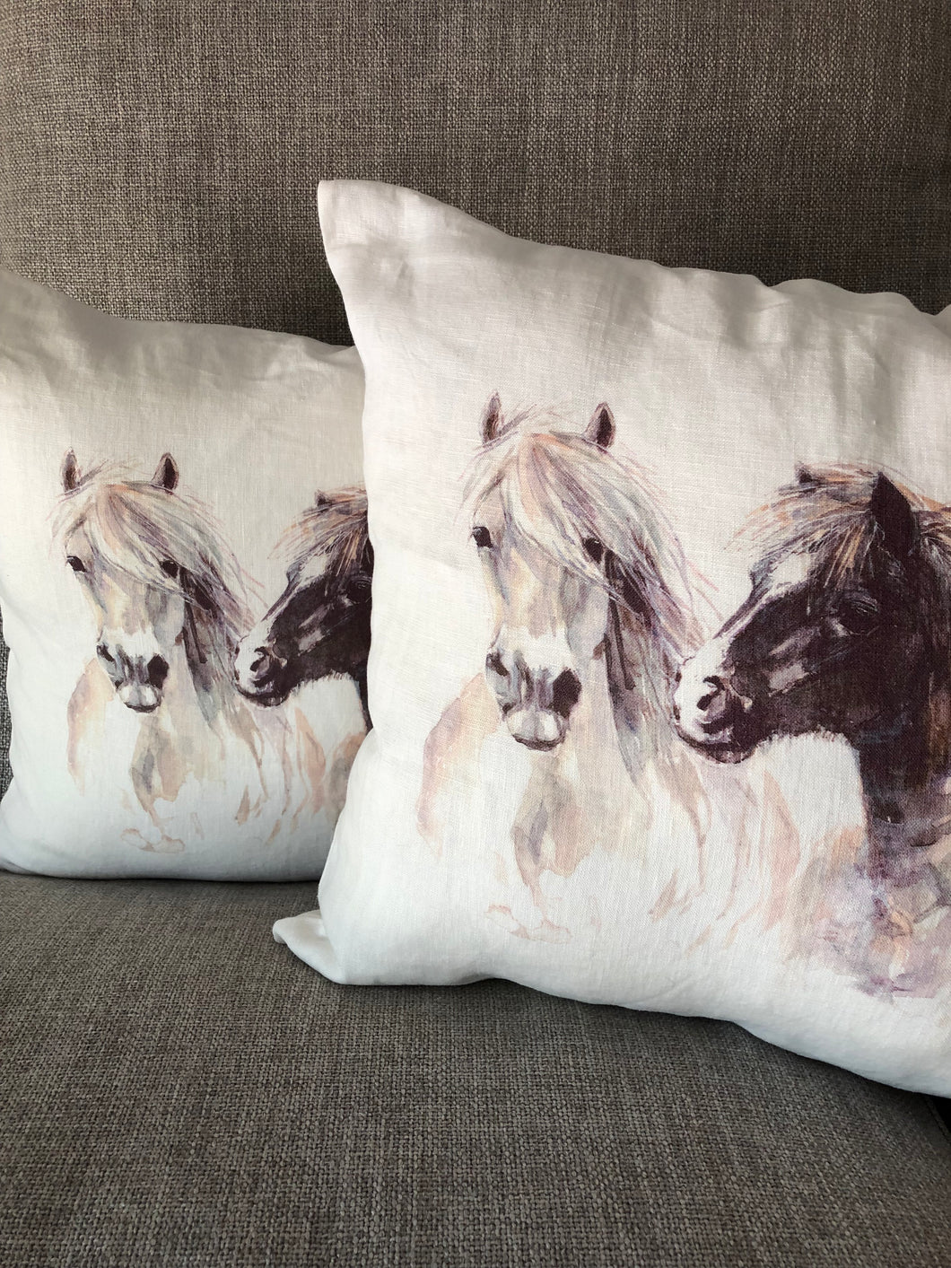 Brumbies Cushion Cover