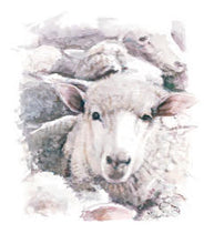 Load image into Gallery viewer, Sheep Cushion Cover
